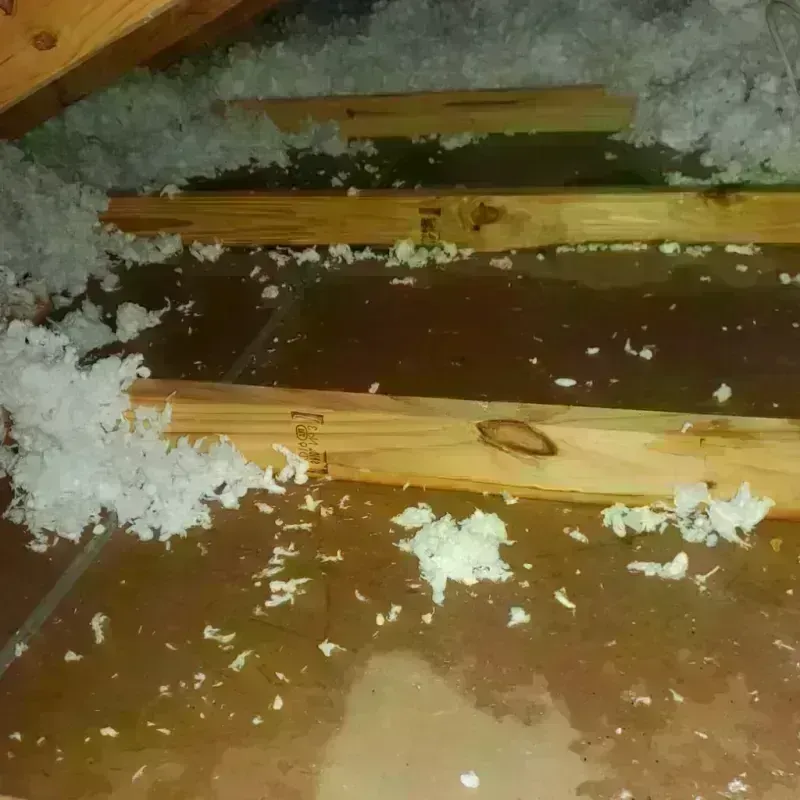 Attic Water Damage in Carbon Cliff, IL